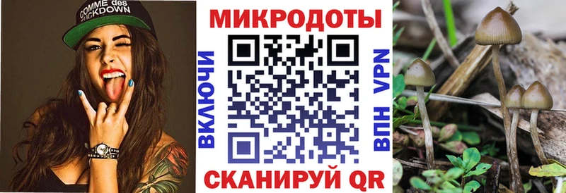 Псилоцибиновые грибы прущие грибы  Купить где  Светлогорск 